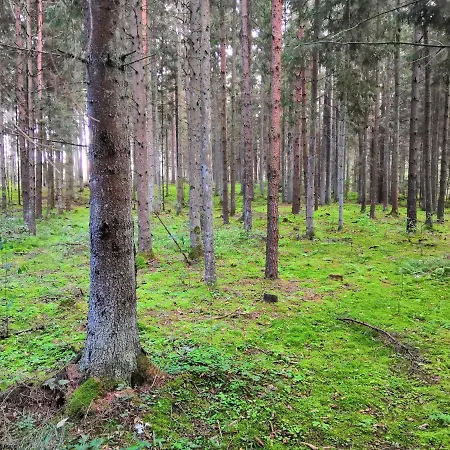 End Of The World Wronki (Warmian-Masurian)