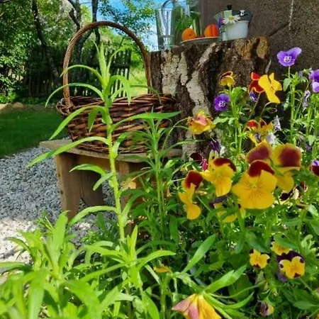 Chalet End Of The World Wronki (Warmian-Masurian)